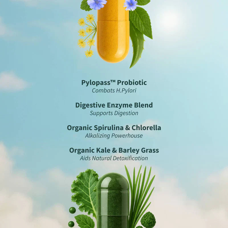 Gut Health Bundle