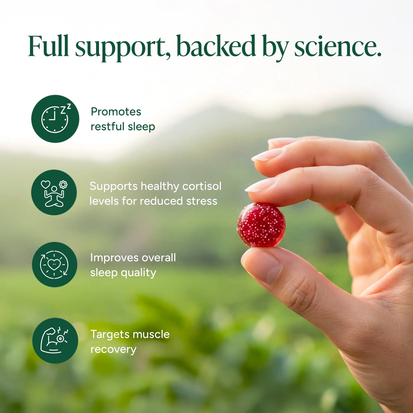 Root Labs Liposomal Magnesium + Ashwagandha Gummies with Beadlet Technology | 675mg Multi-Form Magnesium Salt, 200mg KSM-66 Ashwagandha, 26mg L-Theanine | High Bioavailability Gummies | Stress Relief, Sleep Support & Recovery | 60 Gummies (30 Servings)